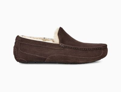 UGG Ascot Slippers for Mens - Espresso/Chocolate India